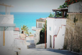  Cento Passi Dal Mare  Алькамо Марина